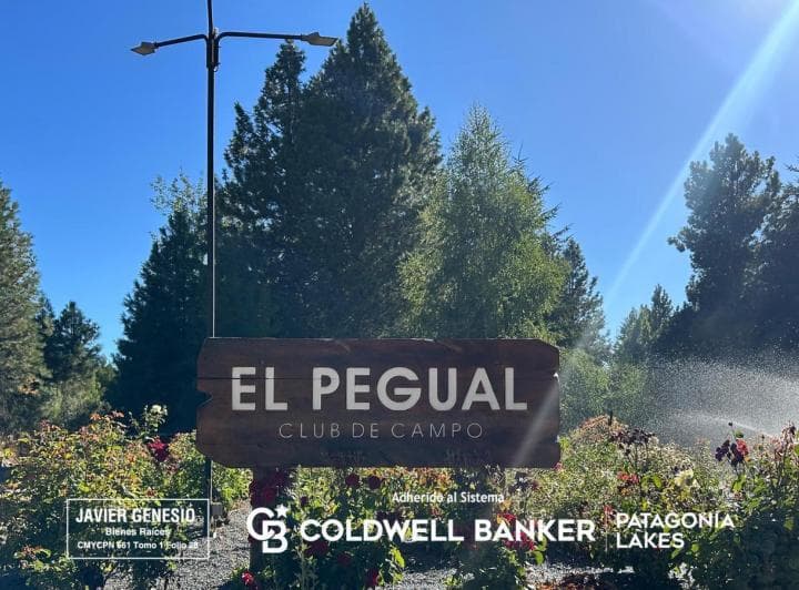 Venta Lote/terreno San Martin de Los Andes 4107 m² Barrio El Pegual - 4