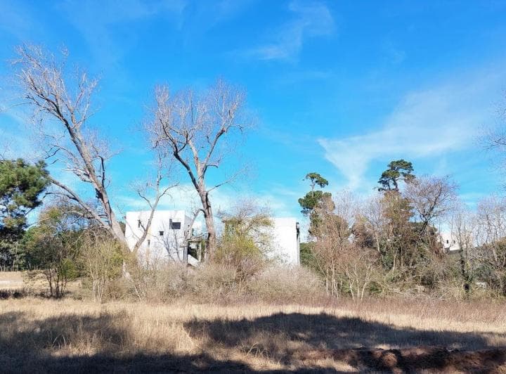 Gulliver 120 - 2