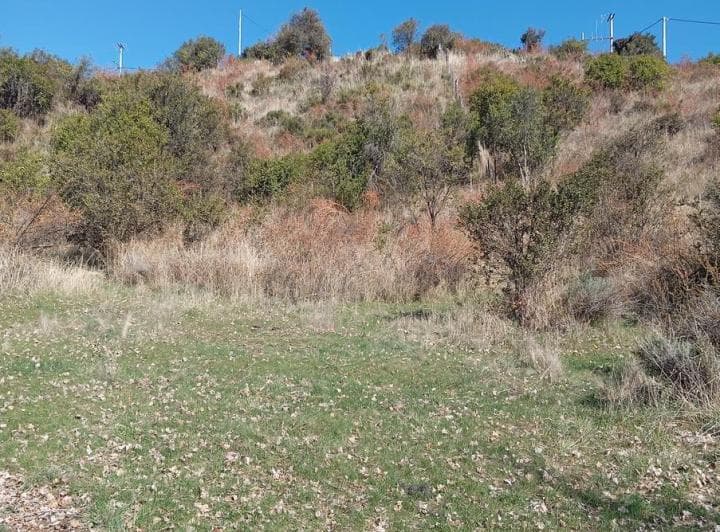 Terreno en Cholila (Fz - 34) - 4