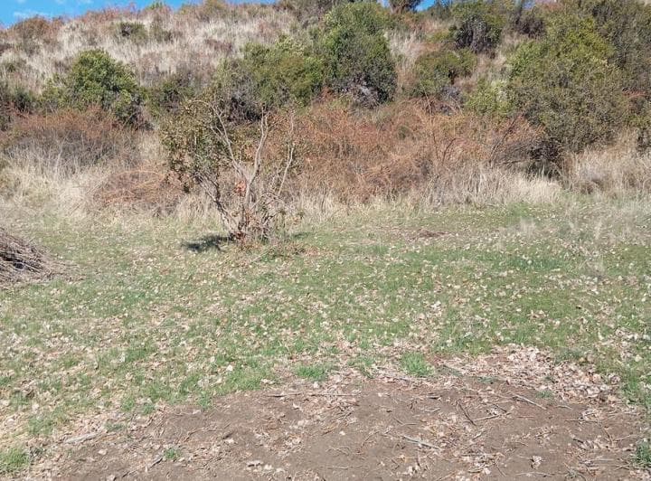 Terreno en Cholila (Fz - 34) - 5