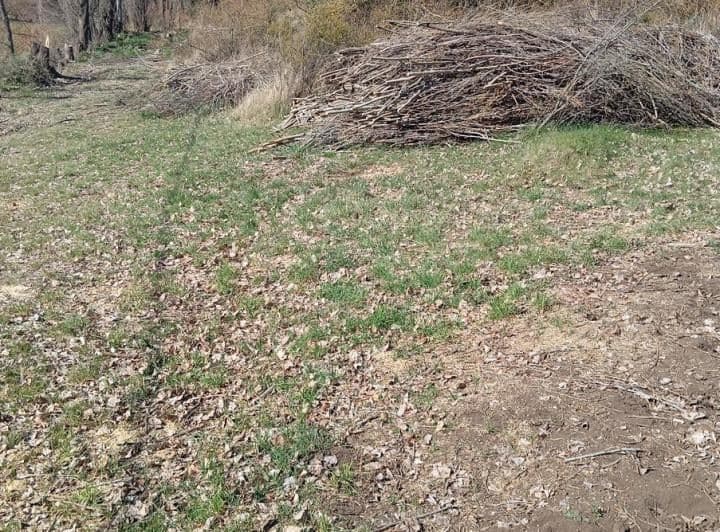 Terreno en Cholila (Fz - 34) - 3