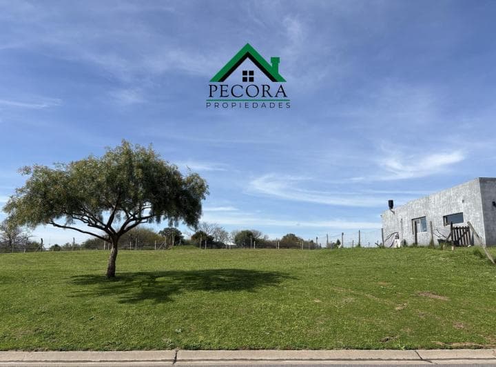 Terreno - Lote 182 - Perimetral - San Sebastian - Area 1 - 5