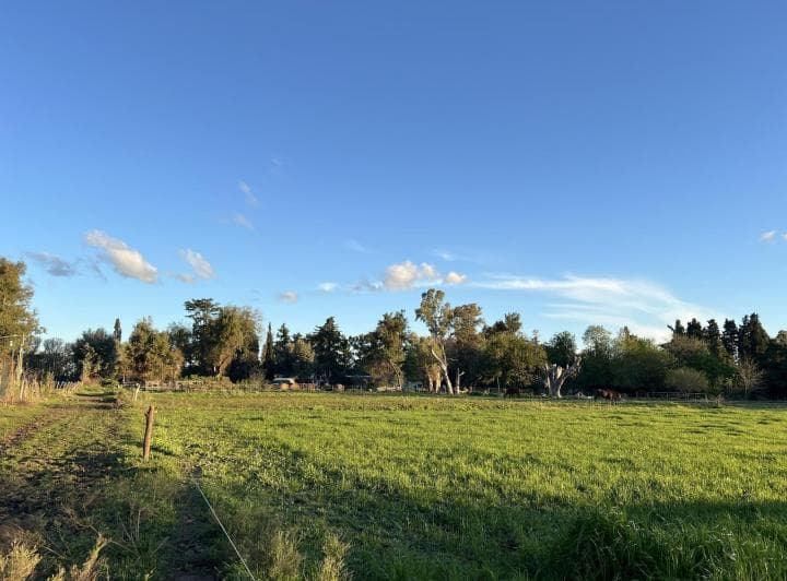 Chacra en Venta en Manzanres, Pilar, Gba Norte - 4