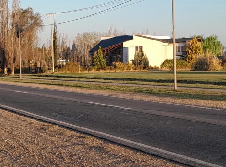 Venta 4 Ha en San Rafael Mendoza Ubicacion Extrategica y Derecho de Riego Al Dia - 2