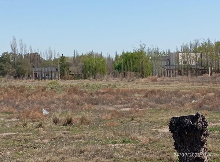 Venta 4 Ha en San Rafael Mendoza Ubicacion Extrategica y Derecho de Riego Al Dia - 4
