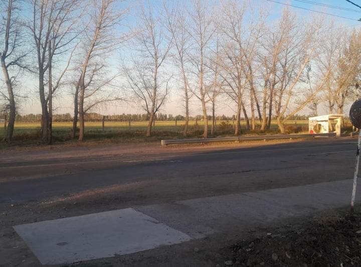 Venta 4 Ha en San Rafael Mendoza Ubicacion Extrategica y Derecho de Riego Al Dia - 3