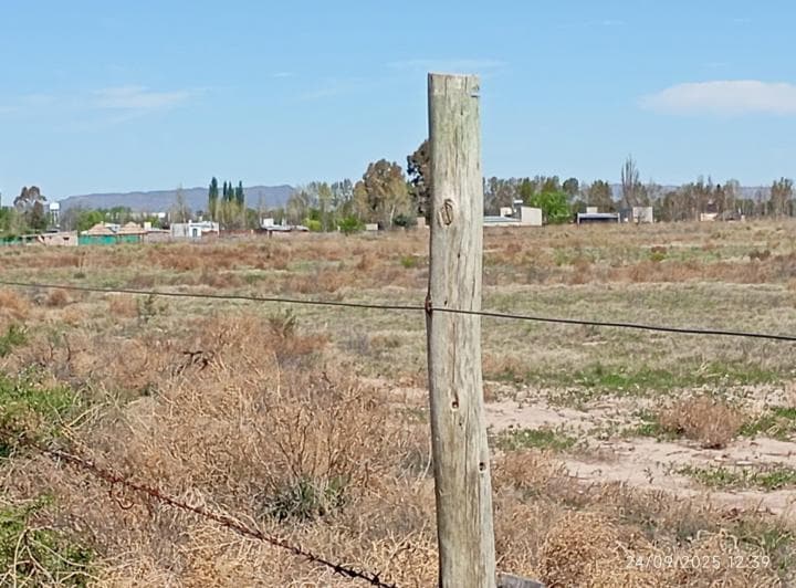Venta 4 Ha en San Rafael Mendoza Ubicacion Extrategica y Derecho de Riego Al Dia - 5