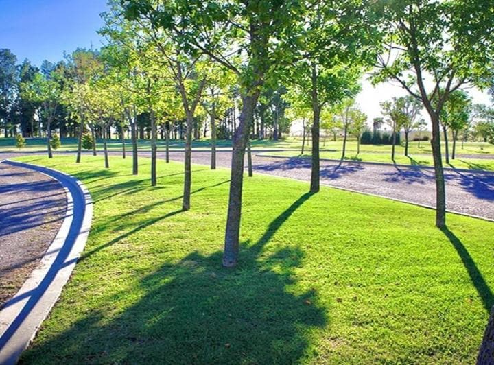Venta Lote 1634 m² en Country Área 60 La Plata - 5