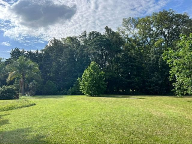 Venta de Lote Arbolado - Alto Las Lomadas - Bº Las Lomadas - 5