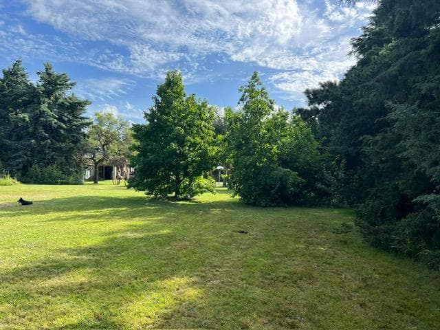 Venta de Lote Arbolado - Alto Las Lomadas - Bº Las Lomadas - 3