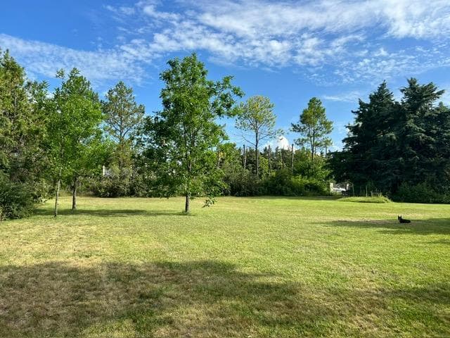 Venta de Lote Arbolado - Alto Las Lomadas - Bº Las Lomadas - 4