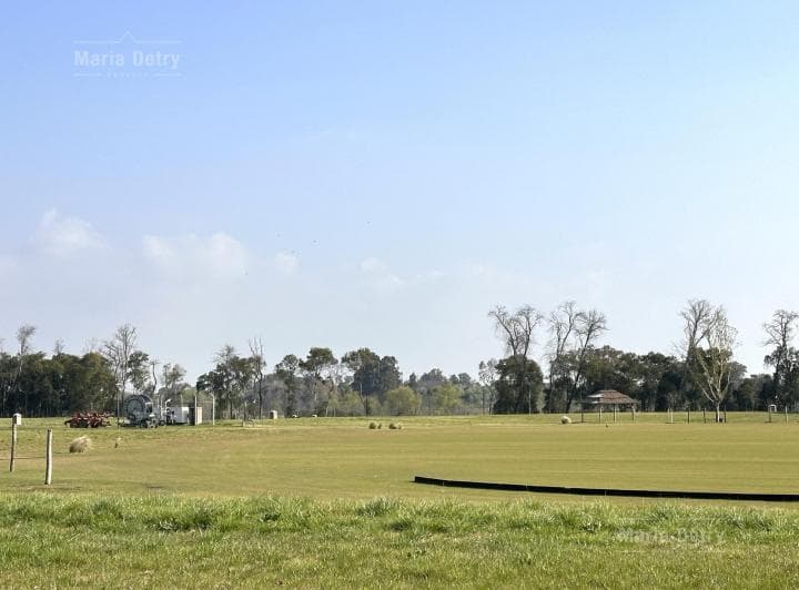 Lote Sobre Polo Cabriolet Pilará - 3