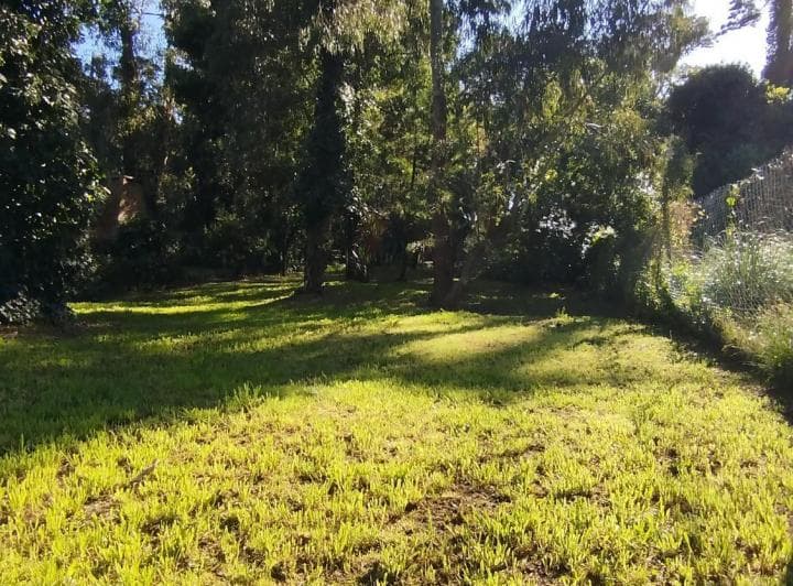 Lote 15 X 30 m. Bosque Peralta Ramos. Terreno Alambrado - 2