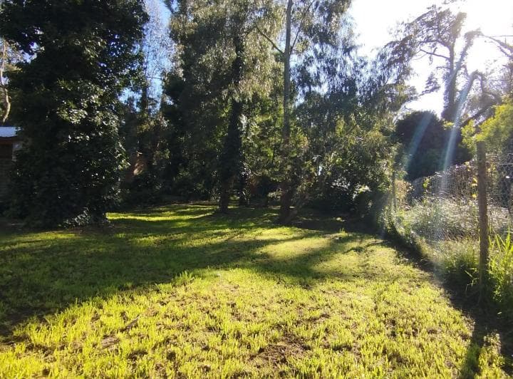 Lote 15 X 30 m. Bosque Peralta Ramos. Terreno Alambrado - 3