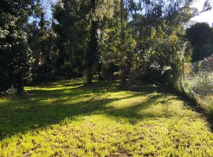 Lote 15 X 30 m. Bosque Peralta Ramos. Terreno Alambrado - 4