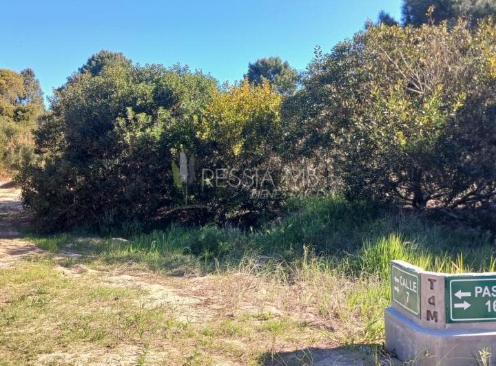 Loteo "Tierra de Mar" - Colonia Marina - Lotes Desde 920 m² | Escriturables | a 350 m del Mar - 3