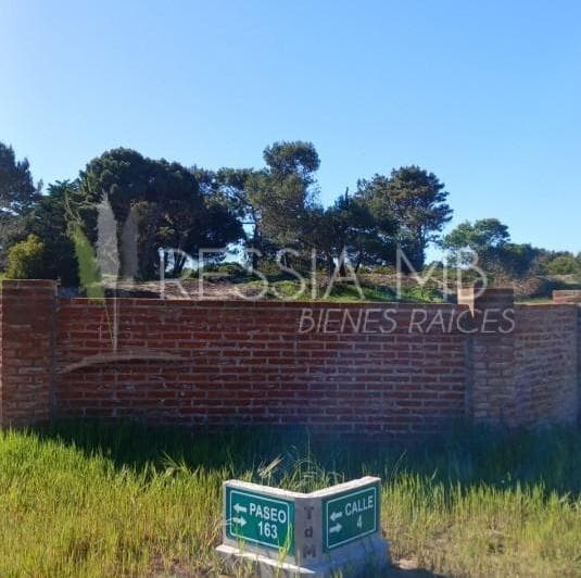 Loteo "Tierra de Mar" - Colonia Marina - Lotes Desde 920 m² | Escriturables | a 350 m del Mar - 4