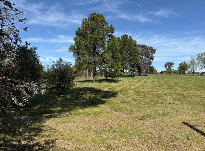 Terreno en Venta - Club de Campo Santa Catalina - Open Door - Lni 943 - 4