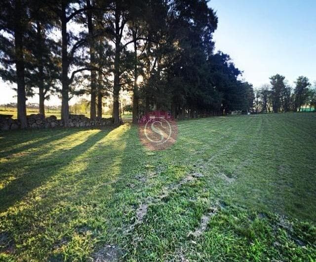 Lote en Venta, Barrio Petión, Cañuelas (Financiación) - 2