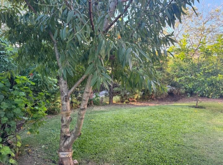 Casa en Venta 1 Planta Barrio Santa Teresa - Villanueva Apto Credito - 3