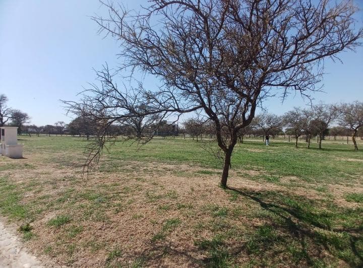 Lote en Venta Siete Soles - Alqarias 3 - 600 m - 5