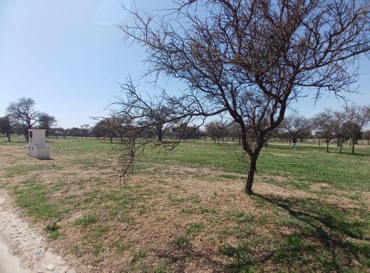 Lote en Venta Siete Soles - Alqarias 3 - 600 m - 3