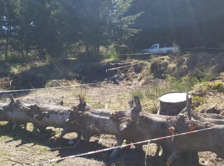 Venta Lote/terreno Plano Uf 5 Cercano Al Centro Villa La Angostura 247,60 m² con Proyecto Aprobado - 5