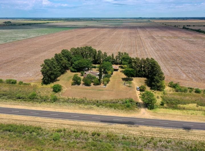 Venta Campo en Florencia Provincia de Santa Fe - 3