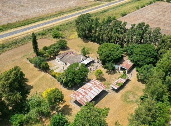 Venta Campo en Florencia Provincia de Santa Fe - 5