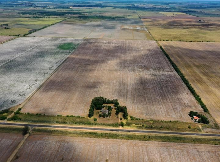 Venta Campo en Florencia Provincia de Santa Fe - 2