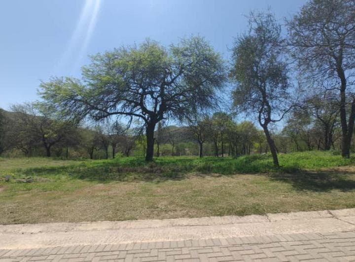 Terreno en Maitenes de La Deseada, Excelente Financiación - 5
