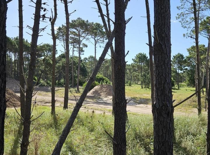Terreno con Vista Al Lago en Bosques Pinamar - 2