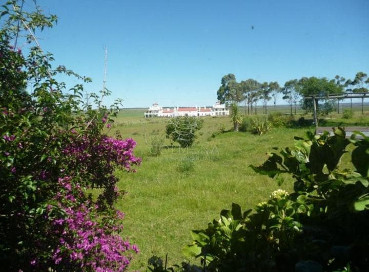 Chacra en - Punta del Este - Zona Jose Ignacio, Frente a Estancia Vik. - 5