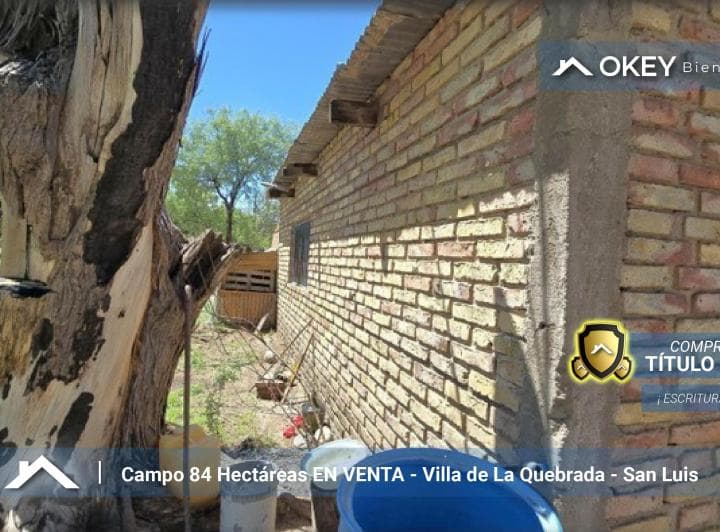 Campo en Venta de 84 Hectáreas en Villa de La Quebrada - 5