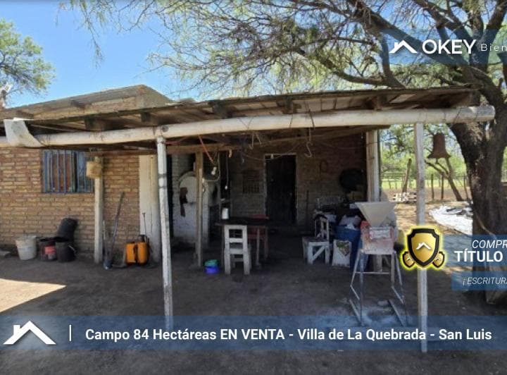 Campo en Venta de 84 Hectáreas en Villa de La Quebrada - 4