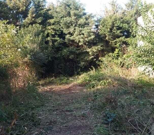 Terreno Lote en Venta en Villa Alpina II, Pilar, G. B. a. Zona Norte - 5