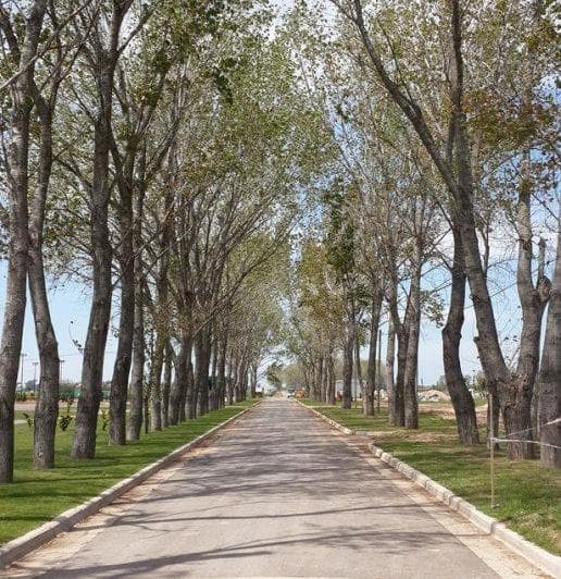 Lote en Venta 819 m² en Etapa 1 La Alameda, Canning - 4