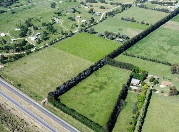Venta Campo 155 Ha Plomer Sobre Ruta 6 - 3