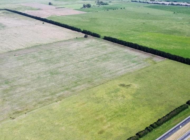 Venta Campo 155 Ha Plomer Sobre Ruta 6 - 5