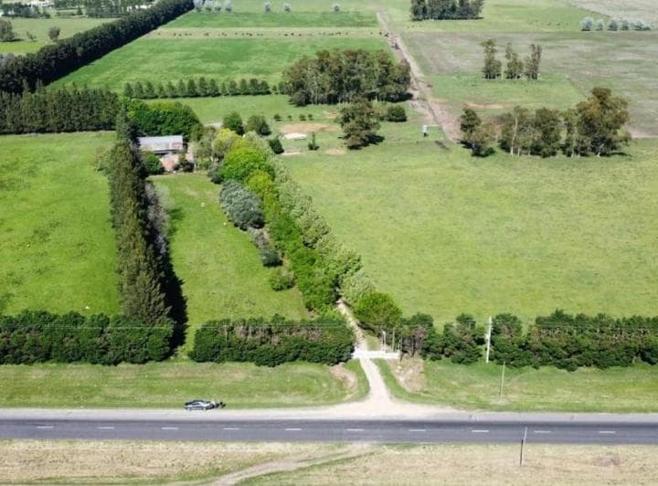 Venta Campo 155 Ha Plomer Sobre Ruta 6 - 2