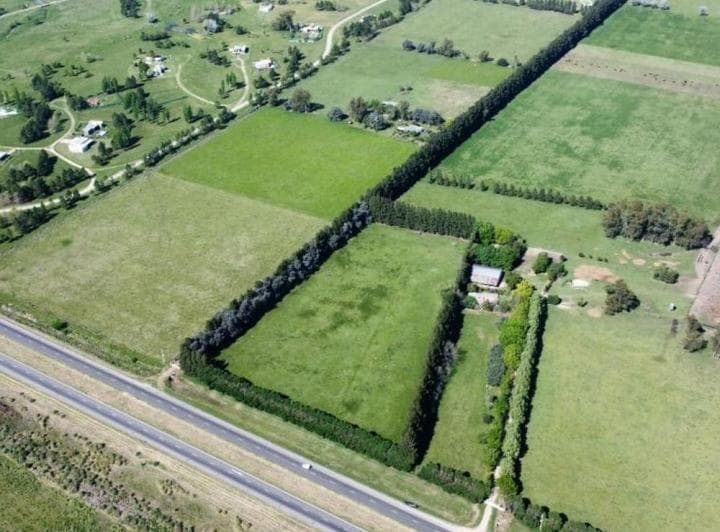 Venta Campo 155 Ha Plomer Sobre Ruta 6 - 4