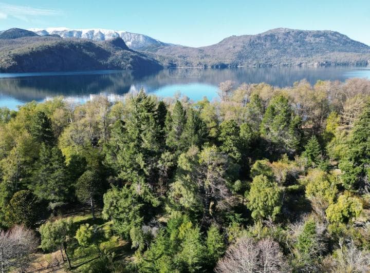 Terreno Lote en Venta en Quila Quina, San Martin de Los Andes, Patagonia - 2