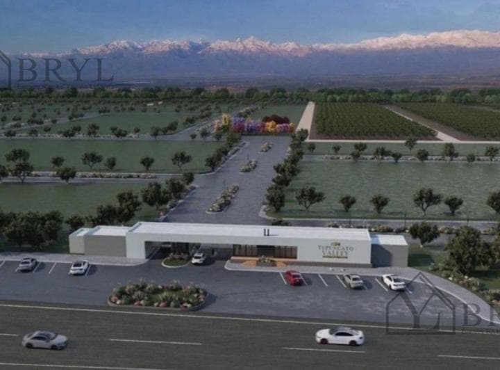Venta Lote en Tupungato Valley Provincia de Mendoza. Ubicado Frente Viñedo - 3