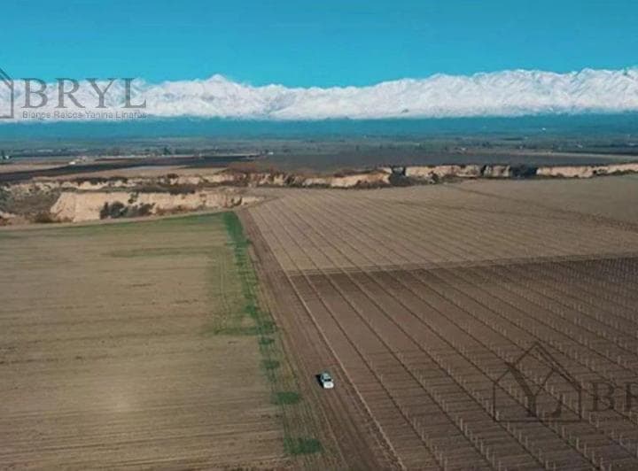 Venta Lote en Tupungato Valley Provincia de Mendoza. Ubicado Frente Viñedo - 5