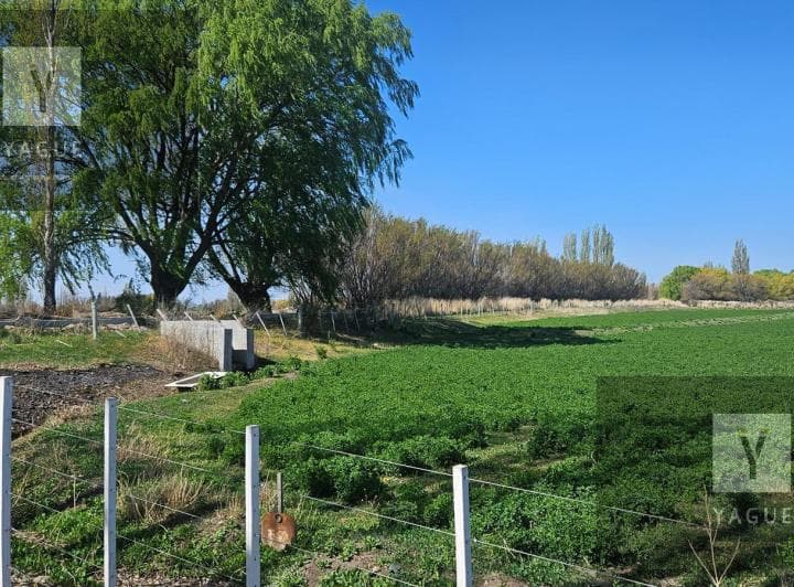 Chacra en Gaiman, Chubut, Patagonia - 2