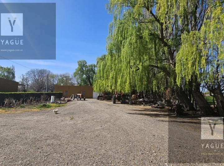 Chacra en Gaiman, Chubut, Patagonia - 5