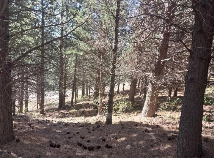 Terreno Lote en Venta en San Martin de Los Andes, Patagonia, Argentina - 3
