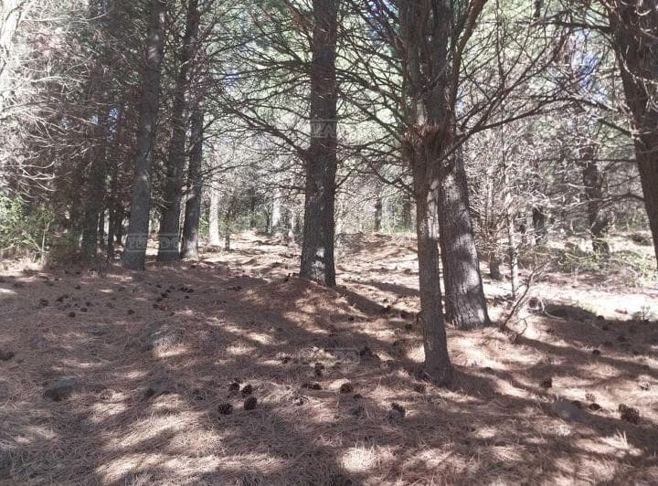 Terreno Lote en Venta en San Martin de Los Andes, Patagonia, Argentina - 5