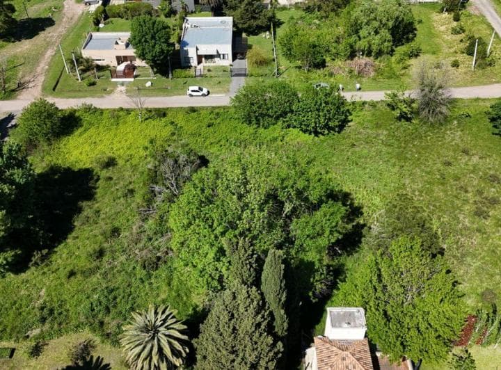 Lote. | Calle 13 - 3