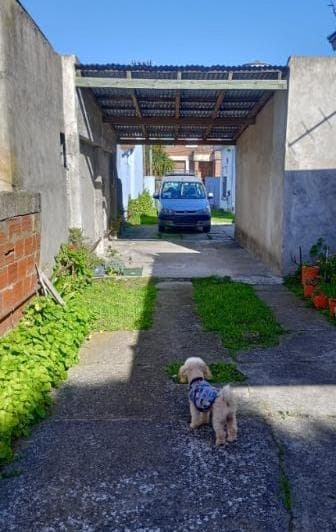 Venta Propiedad en Block con Patio - 4